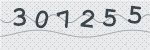 Prepišite prikazano šestmestno kodo