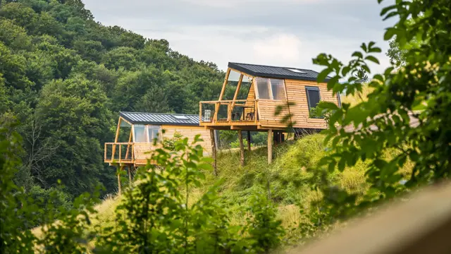 Nesting Resort