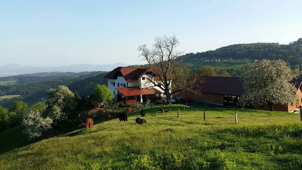 Turizem Grasic Gradisnik Visit Maribor Pohorje Slovenia