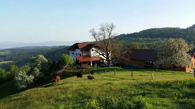 Turizem Grašič-Gradišnik