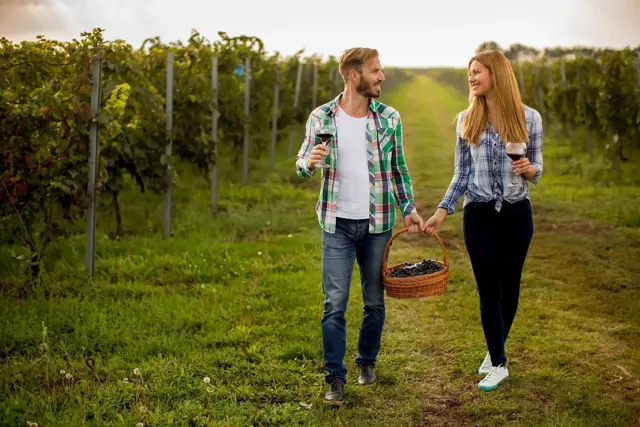 Vinograd Trgatev Vino Kulinarika Maribor Pohorje Slovenija Slovenia Shutterstock Goran Bogicevic 2