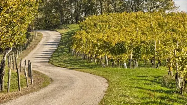 Podaljšajte obisk Maribora med vinograde in gradove