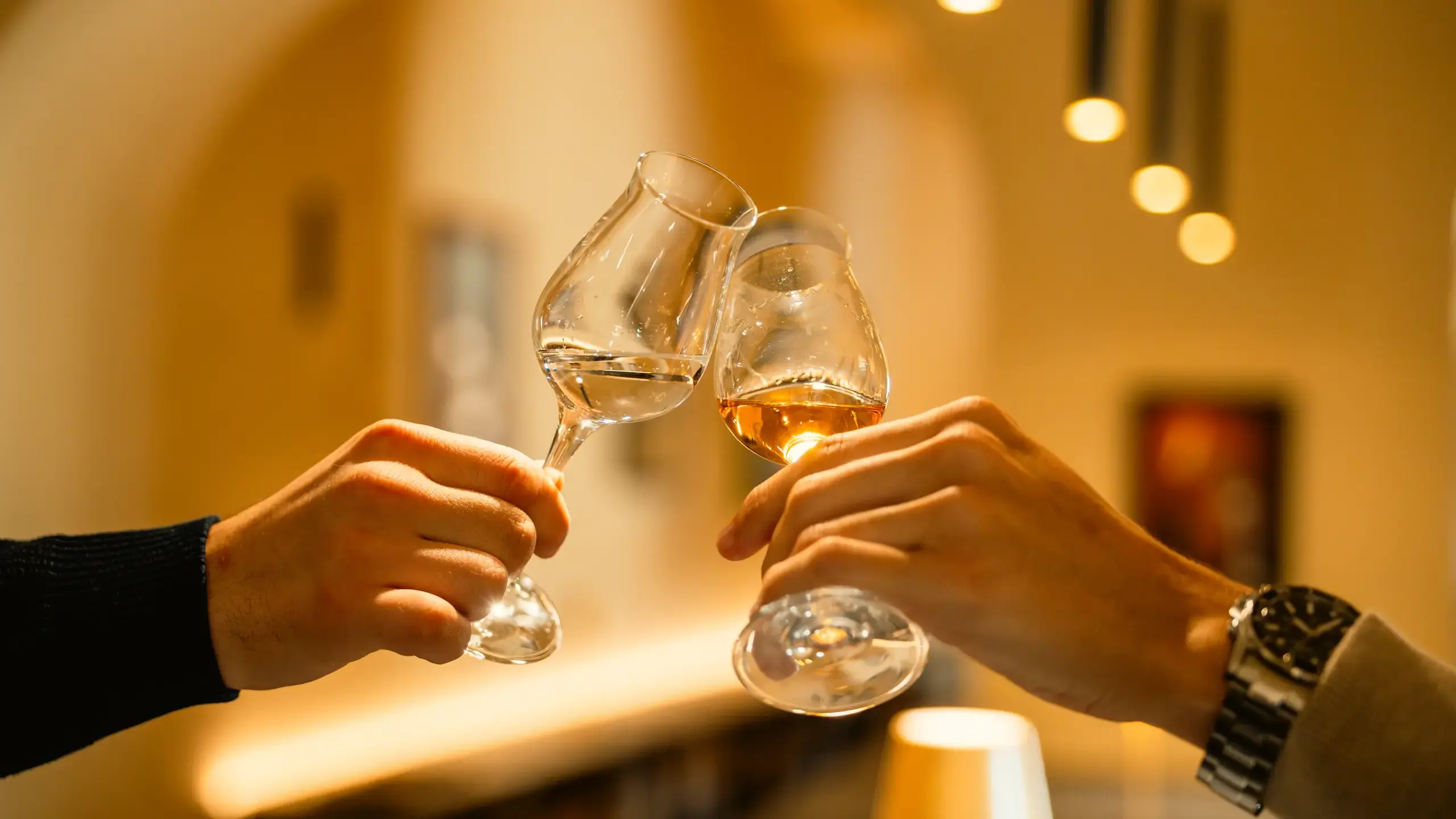 2025 Najstarejsa Trta Image Aperitiv Klemen Golob 036