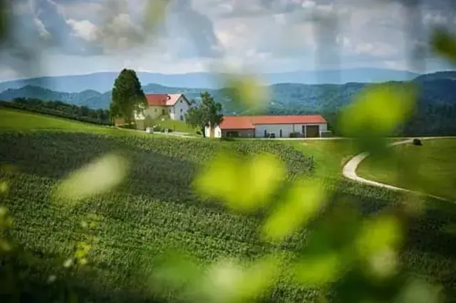 Hisa Vina Leber Kbz Nase Najboljse Our Finest Maribor Slovenia Tomo Jesenicnik 1 2