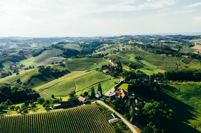Vina In Turizem Bracko Jakobski Dol Maribor Pohorje Slovenia Slovenija 10