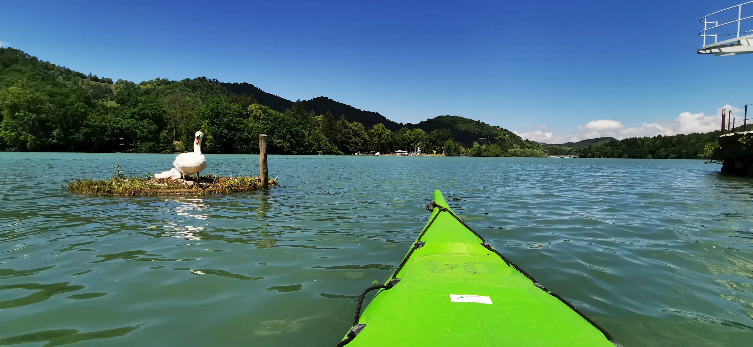 Krajinski Park Mariborsko Jezero Junij 2020 Karmen Razlag 1