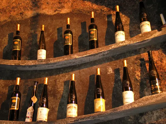 Vinagova Klet1 Slovenia Slovenija Maribor Pohorje Marko Petrej
