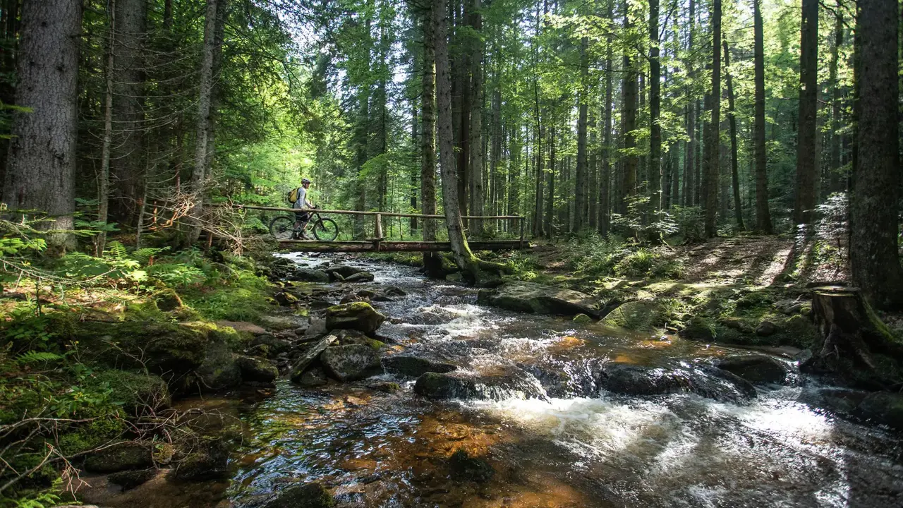 F013137 Pohorje Sumik Kolesarjenje Jost Gantar Photo M