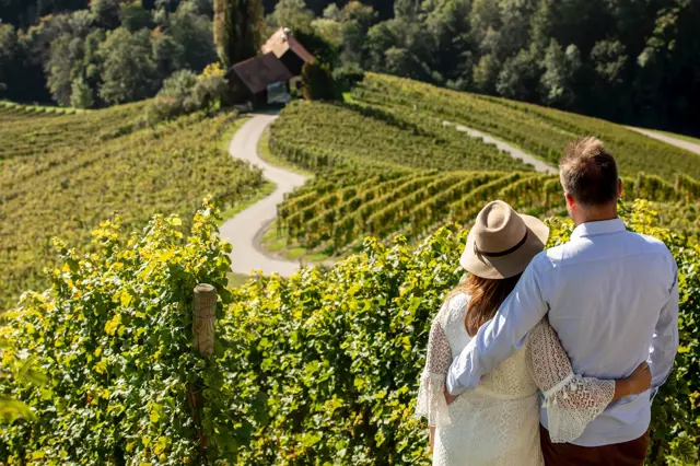Srce Med Vinogradi Vinska Cesta Spicnik Maribor Pohorje Slovenija Slovenia Vid Ponikvar 02