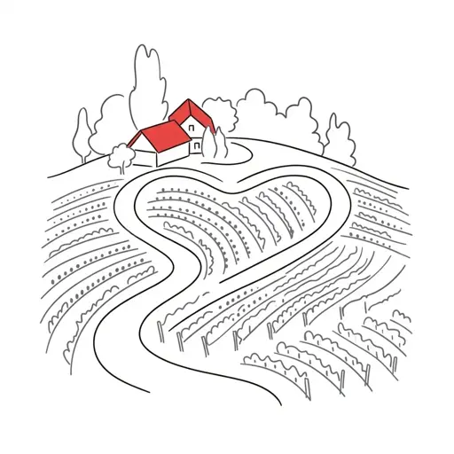 Maribor Ilustracije Srce med vinogradi