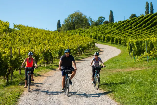 Winebike Izposoja Elektricnih Koles Maribor Slovenija Marko Knehtl 1