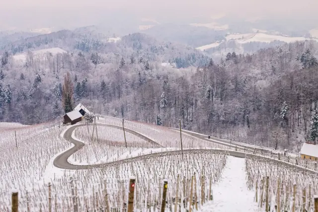 Srce Med Vinogradi Pozimi Svecina Spicnik Maribor Pohorje Slovenija Slovenia Shutterstock Rok Breznik