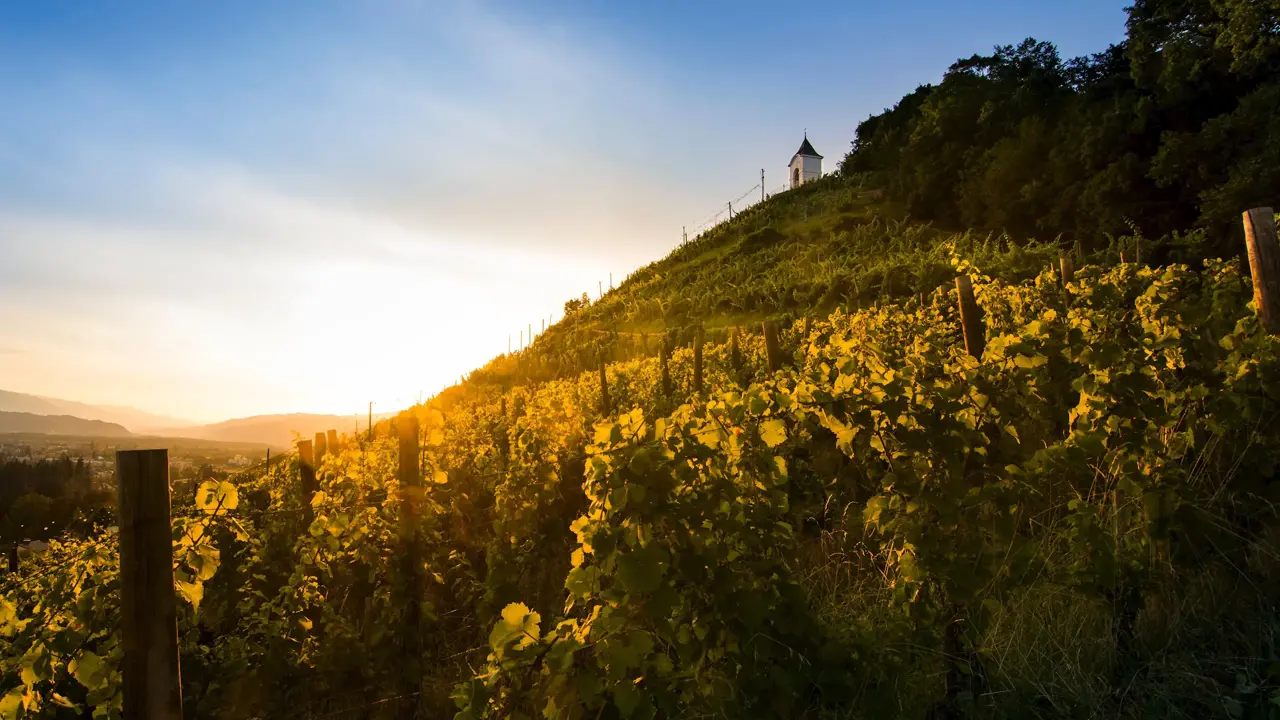 Piramida Vinski Gric Maribor Pohorje Slovenija Slovenia Shutterstockjure Kralj