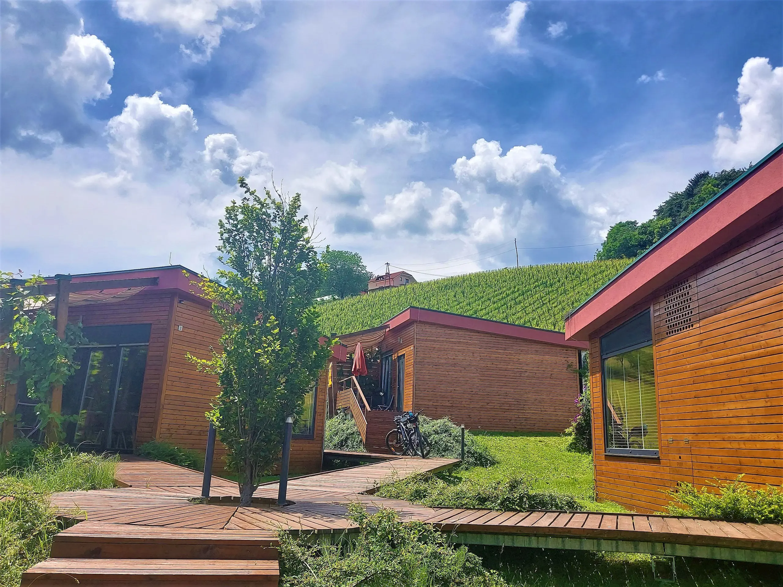 Naturasort Visit Maribor Pohorje Slovenija Slovenia