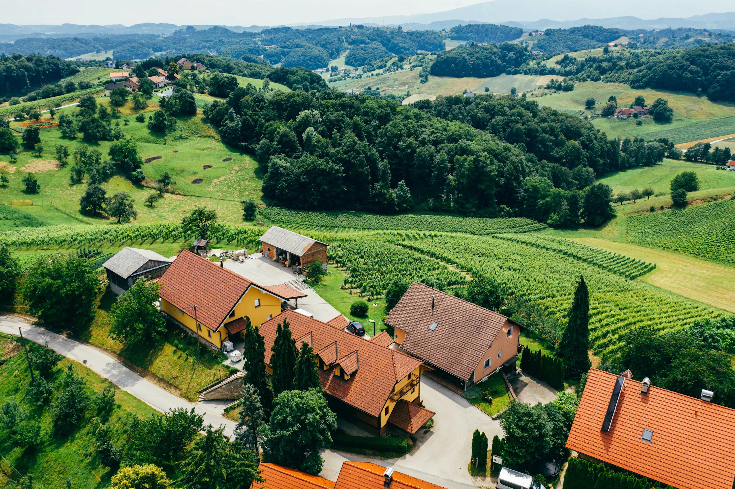 Vina In Turizem Bracko Jakobski Dol Maribor Pohorje Slovenia Slovenija 8