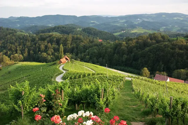 Dreisiebner Srce Slovenia Slovenija Maribor Pohorje Karmen Razlag 2