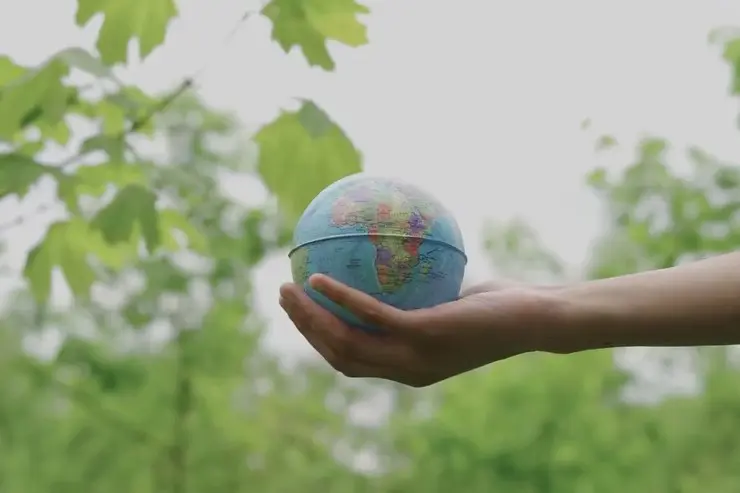 From Data To Greener Decisions