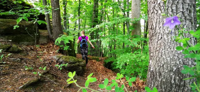 Hudiceve Skale Pohodniska Pot Izletniska Tocka Maribor Pohorje Slovenija Slovenia Karmen Razlag 26